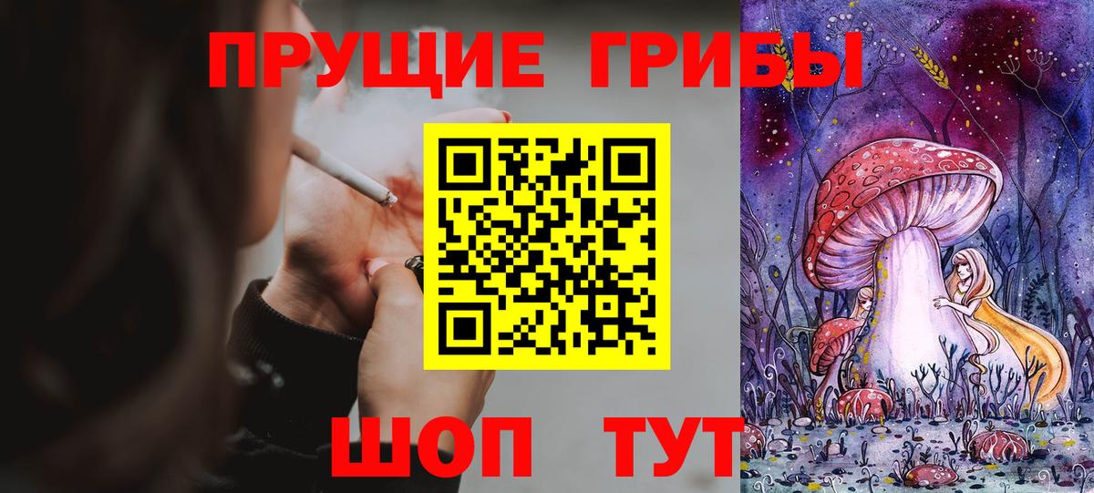 Галлюциногенные грибы прущие грибы  даркнет сайт  Кудымкар  Вход с VPN  Псилоцибиновые грибы GOLDEN TEACHER 