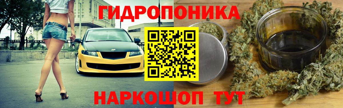 Бошки Шишки Ganja  Вход с VPN  Бошки Шишки индика  Марихуана планчик  Кудымкар 